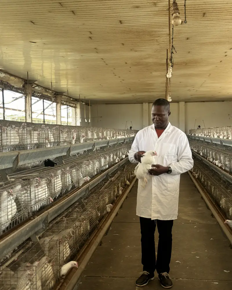Le Dr Benoît Amoussou dans un bâtiment d'élevage, une poule dans les mains